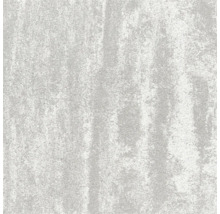 Nahaufnahme einer grauen Betonpflasterplatte mit strukturierter Oberfläche