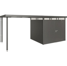 Abri de jardin en métal avec carport pour l'extérieur