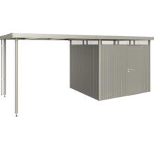 Abri de jardin métallique avec auvent et porte