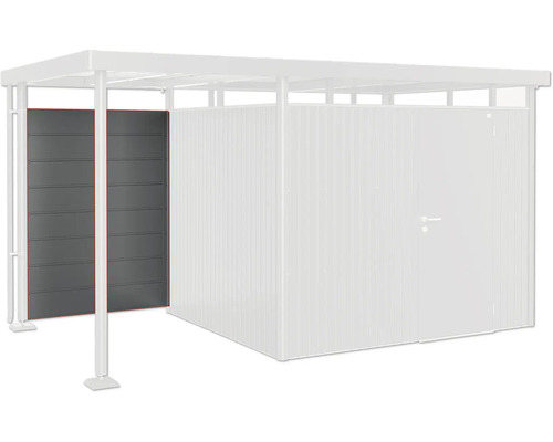 Paroi arrière toiture latérale biohort pour abri de jardin HighLine taille S 2-5 134 x 181 cm gris foncé métallique Abri de voiture avec mur latéral