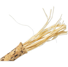 Raphia pour bricoler