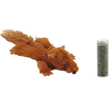 Jouet pour chat écureuil avec cataire