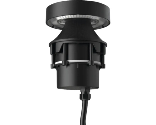 Schwarze LED-Deckenleuchte mit Kabel