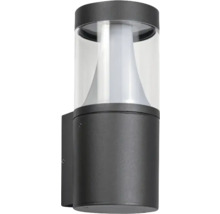 Wandleuchte mit transparentem Lampenschirm