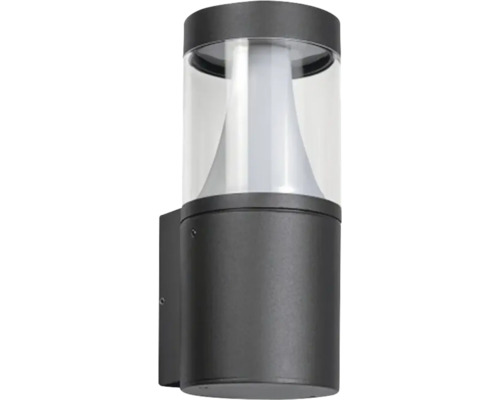 DOTLUX Wandlampe CONEwall 20cm 10 W 3000 K Wandleuchte mit transparentem Lampenschirm