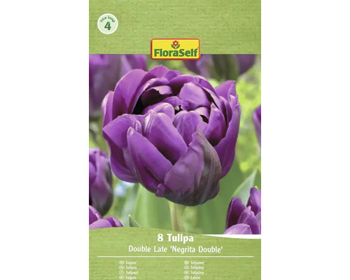 Paquet de 8 tulipes Double Late Negrita Double de FloraSelf