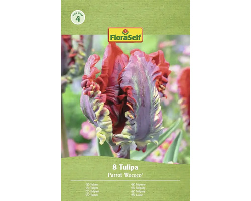 Paquet de tulipes FloraSelf Parrot Rococo avec huit bulbes