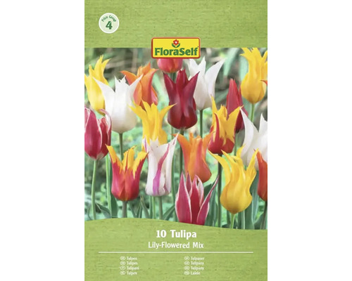 FloraSelf Tulipes Mélange à fleurs de lys paquet