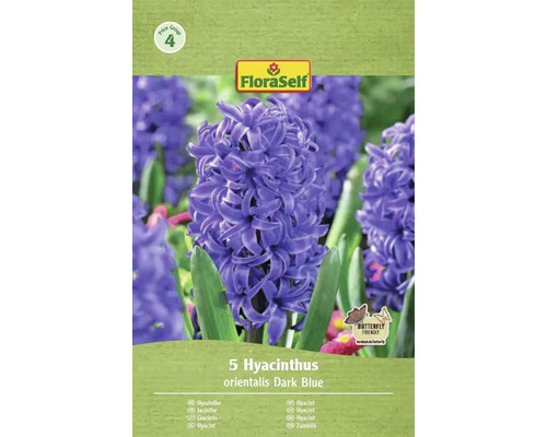 Paquet de 5 jacinthes orientalis bleu foncé de la marque FloraSelf