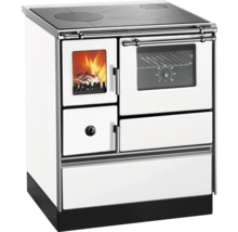 Cuisinière à bois avec plaque de cuisson et four