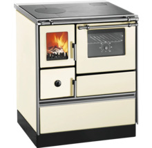 Cuisinière à bois avec plaque de cuisson, four et foyer