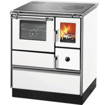 Cuisinière à bois avec plaque de cuisson et four