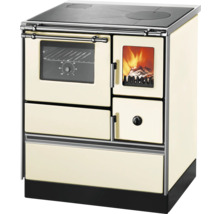 Cuisinière à bois avec plaque de cuisson et four pour une cuisine traditionnelle