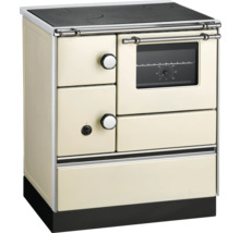 Cuisinière à bois avec plaque de cuisson et four