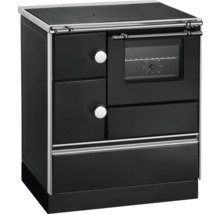 Cuisinière à bois avec plaque de cuisson et four