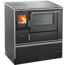 Cuisinière à bois avec plaque de cuisson, four et foyer