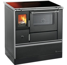 Cuisinière à bois avec fenêtre et plaque de cuisson