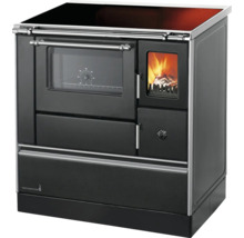 Cuisinière à bois avec four et hublot