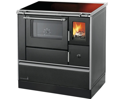 Cuisinière à bois avec four et hublot