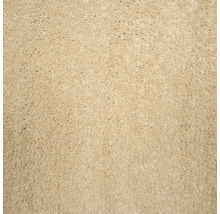 Gros plan d'un tapis