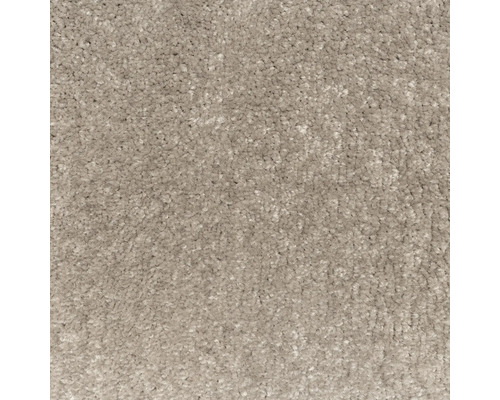 Nahaufnahme von Teppichboden