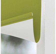 Grüne Fensterrollo für den Innenbereich