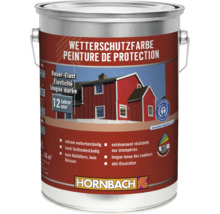 Peinture de protection contre les intempéries en pot de Hornbach
