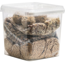 Seau de nourriture pour oiseaux et boules de graisse