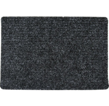 Tapis de propreté