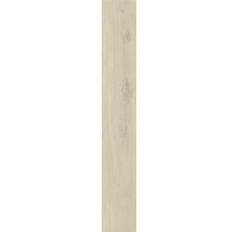 Panneau en bois avec grain de bois