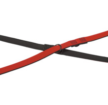 Gekreuzte Hundeleinen aus Nylon und Leder