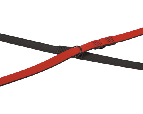 Gekreuzte Hundeleinen aus Nylon und Leder