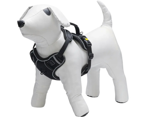 Harnais pour chien sur un modèle de chien