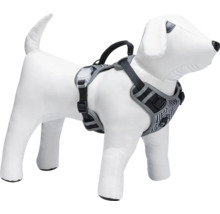 Harnais pour chien sur modèle de chien