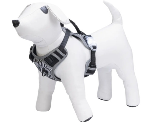 Harnais pour chien avec motif rayé et lampe