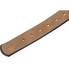 Brauner Hundegürtel mit Löchern