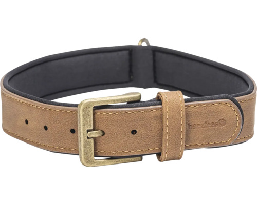 Hundehalsband aus Leder mit Schnalle