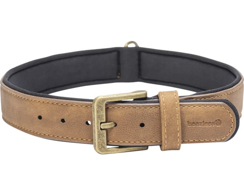 Beaztees Hundehalsband mit Schnalle