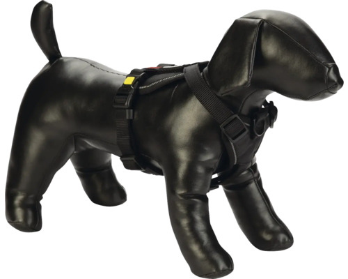 Harnais noir pour chien sur un modèle de chien