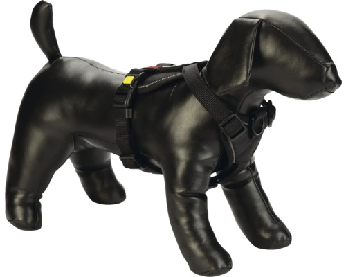 Harnais pour chien sur modèle canin
