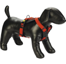 Mannequin de chien avec harnais rouge pour chien