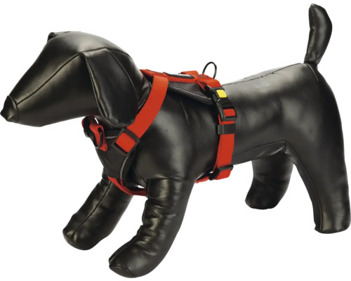 Harnais pour chien sur mannequin de chien
