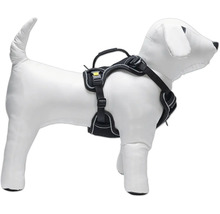 Harnais pour chien sur mannequin pour chien