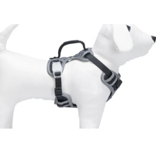 Harnais pour chien avec poignée