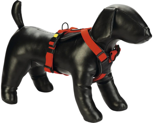 Poupée de chien avec harnais