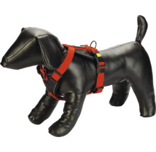 Harnais pour chien avec sangles réglables sur un mannequin de chien