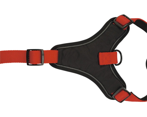 Harnais pour chien avec sangles réglables