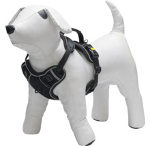 Harnais pour chien sur un mannequin de chien