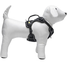 Harnais pour chien sur mannequin