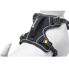 Harnais noir pour chien avec matériau en maille et sangles réglables.